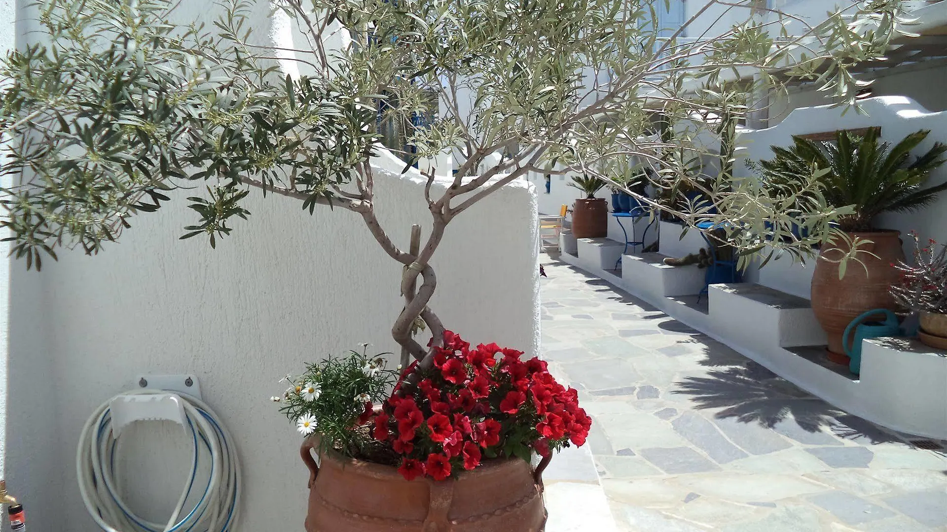 Filoxenia Apartments Ornos  Ornos (Mykonos)